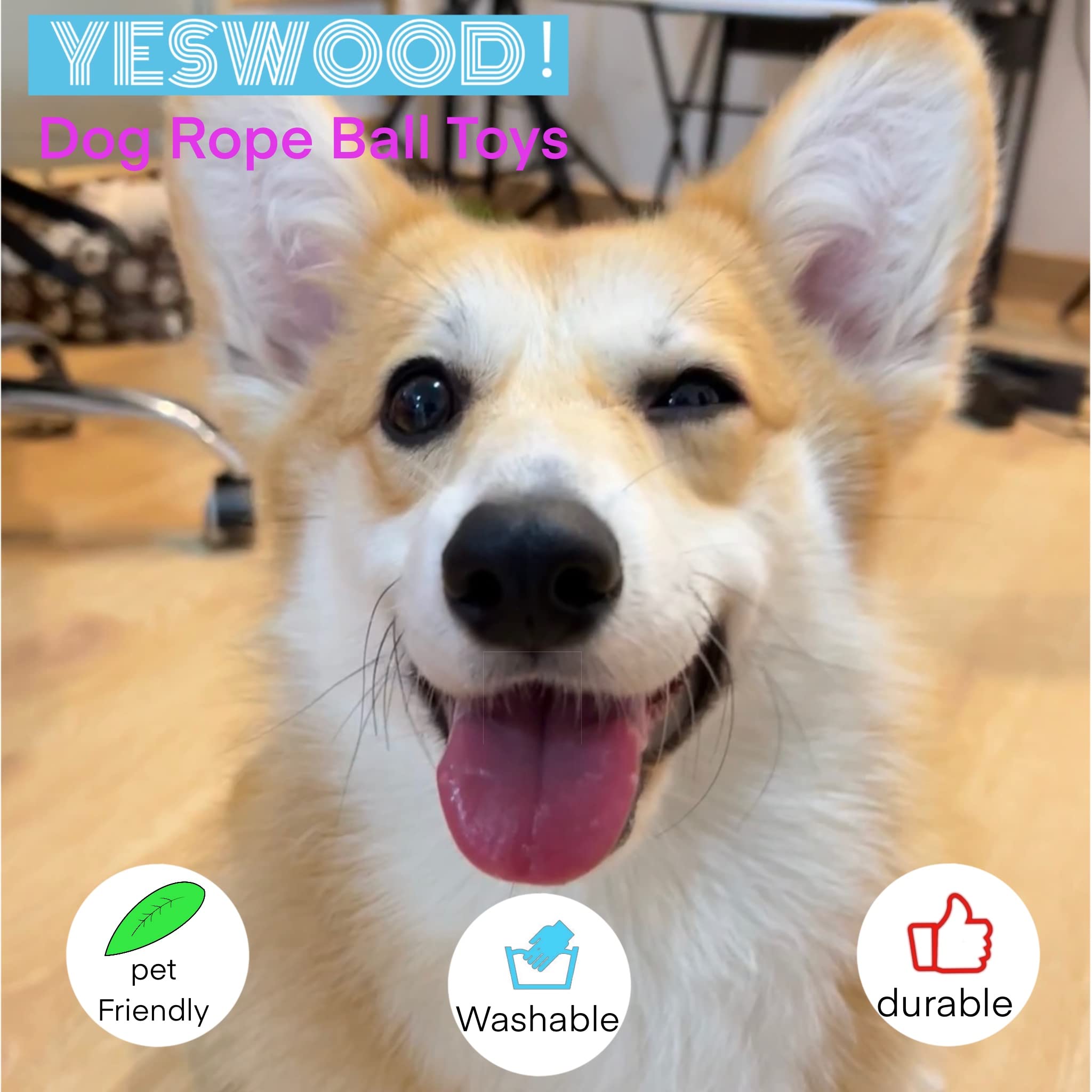 YESWOOD! Regalo interactivo que fortalece la conexión entre mascota y dueño.