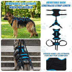 Arnés Yeyeplum diseño no interferente para micción de perros machos.