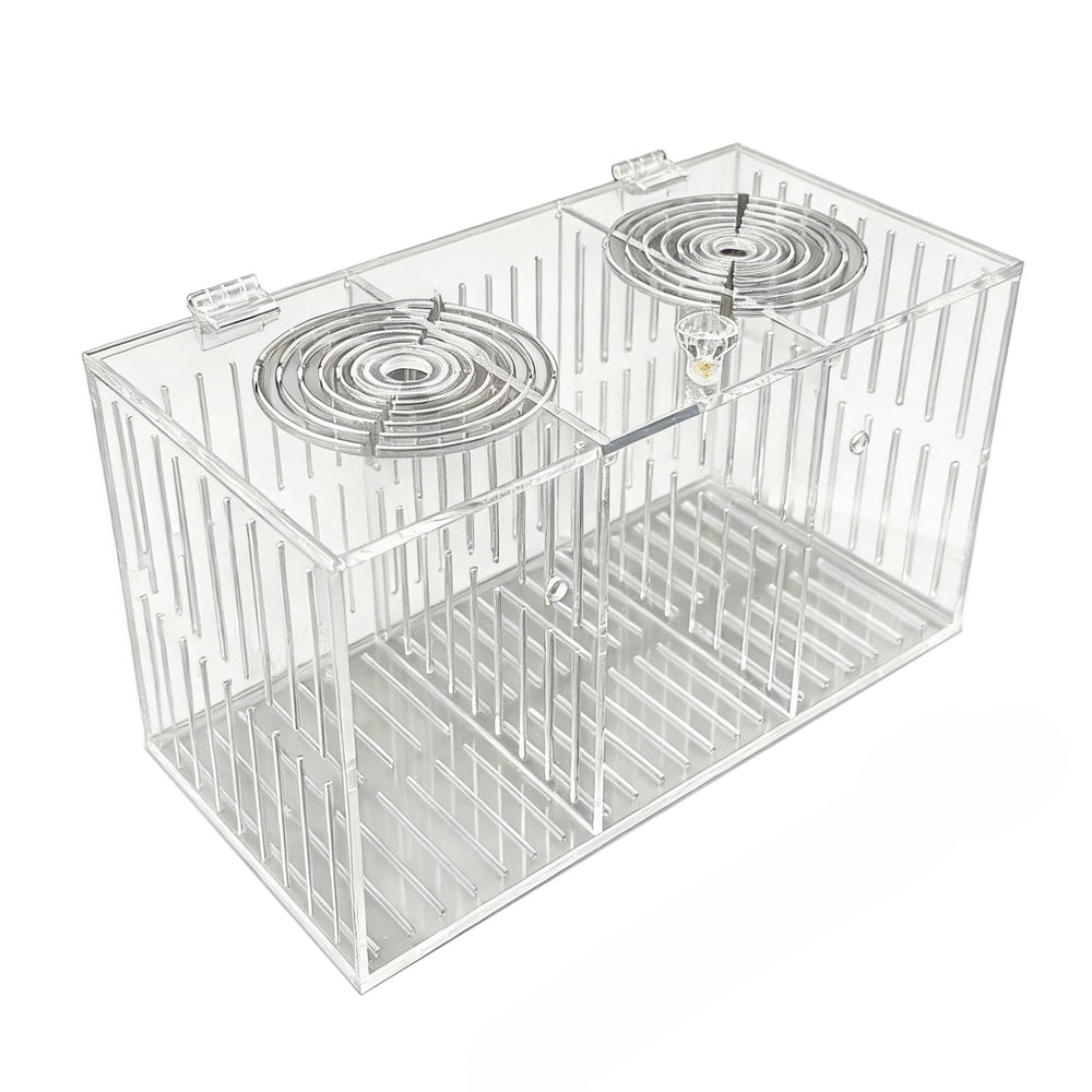 Caja de cría YHaurorise en acrílico de 30 cm para observación clara de peces.