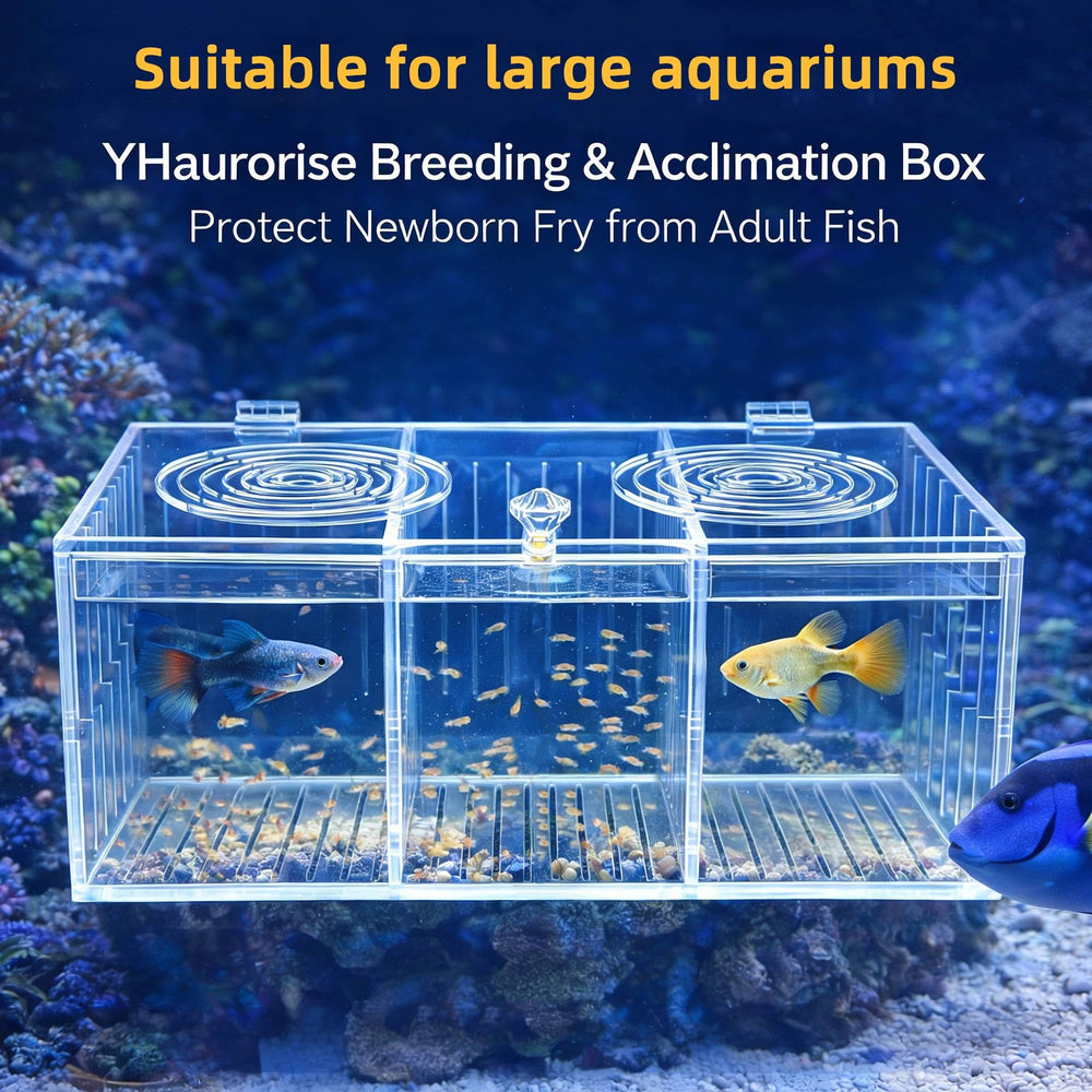 Diseño seguro de YHaurorise para acuario que protege a peces y cría.