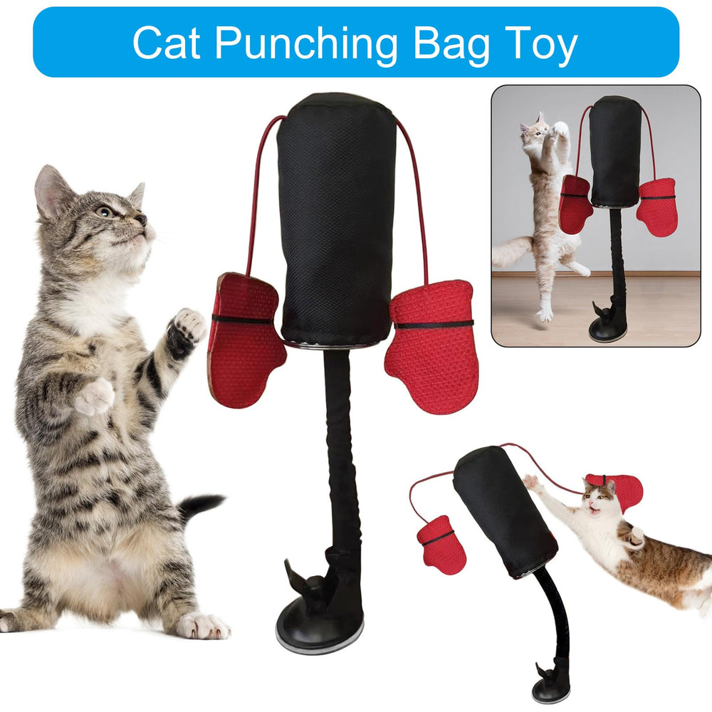 YIBAISI juguete para gatos mantiene entretenidos y activos durante el día.