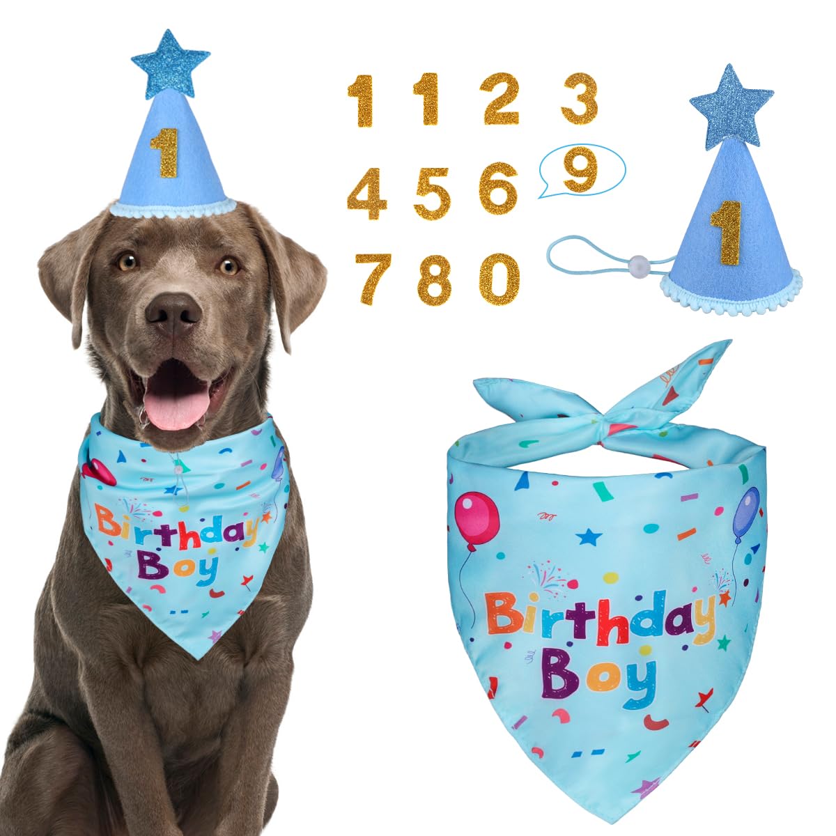 Sombrero de cumpleaños de Yicostar con números para perro, ideal para fotos festivas
