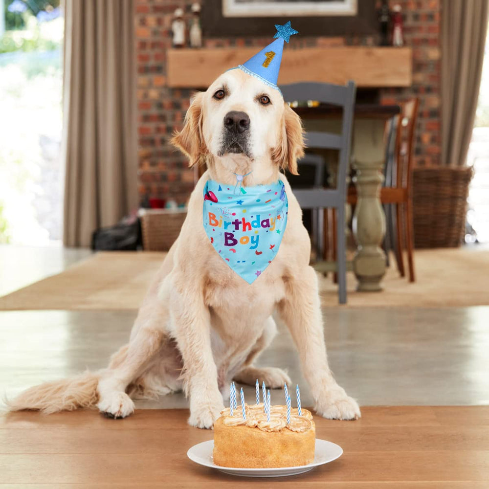 Sombrero para perro con diámetro de 3 pulgadas y estilo festivo