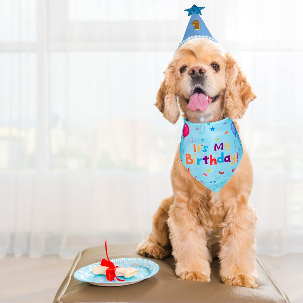 Sombrero para perro con dimensiones adecuadas, pensado para varios tamaños
