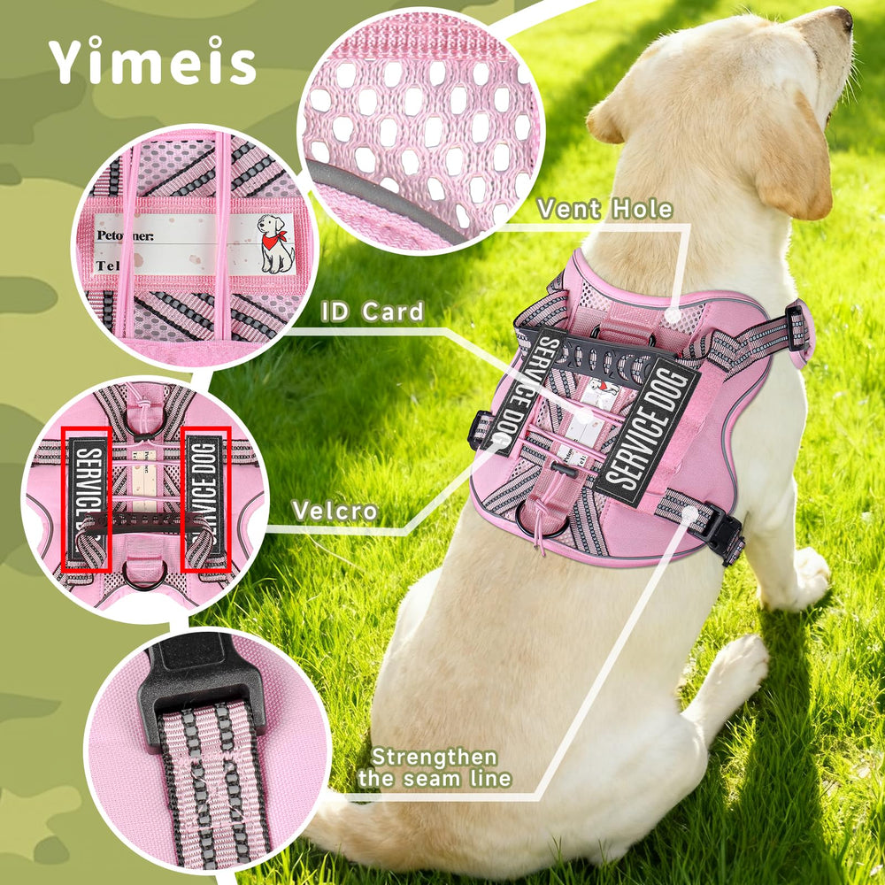 Kit completo para perro de apoyo emocional, listo para entrenamientos.