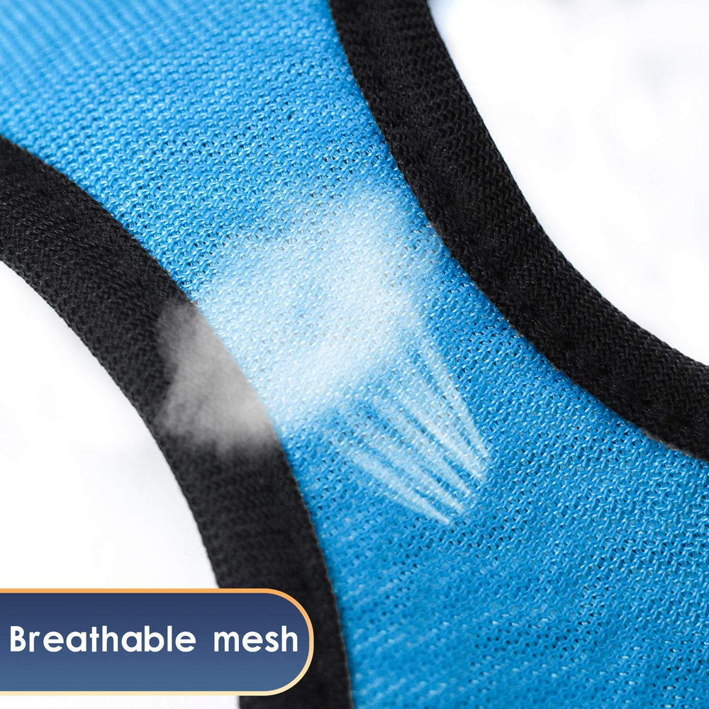 Conjunto YIMEIS para paseos al aire libre con comodidad y control.