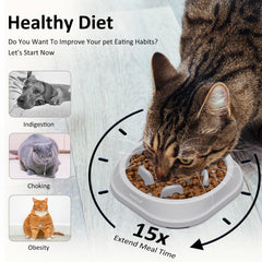 YINEYA cuenco lento para gato que favorece ritmo de comida
