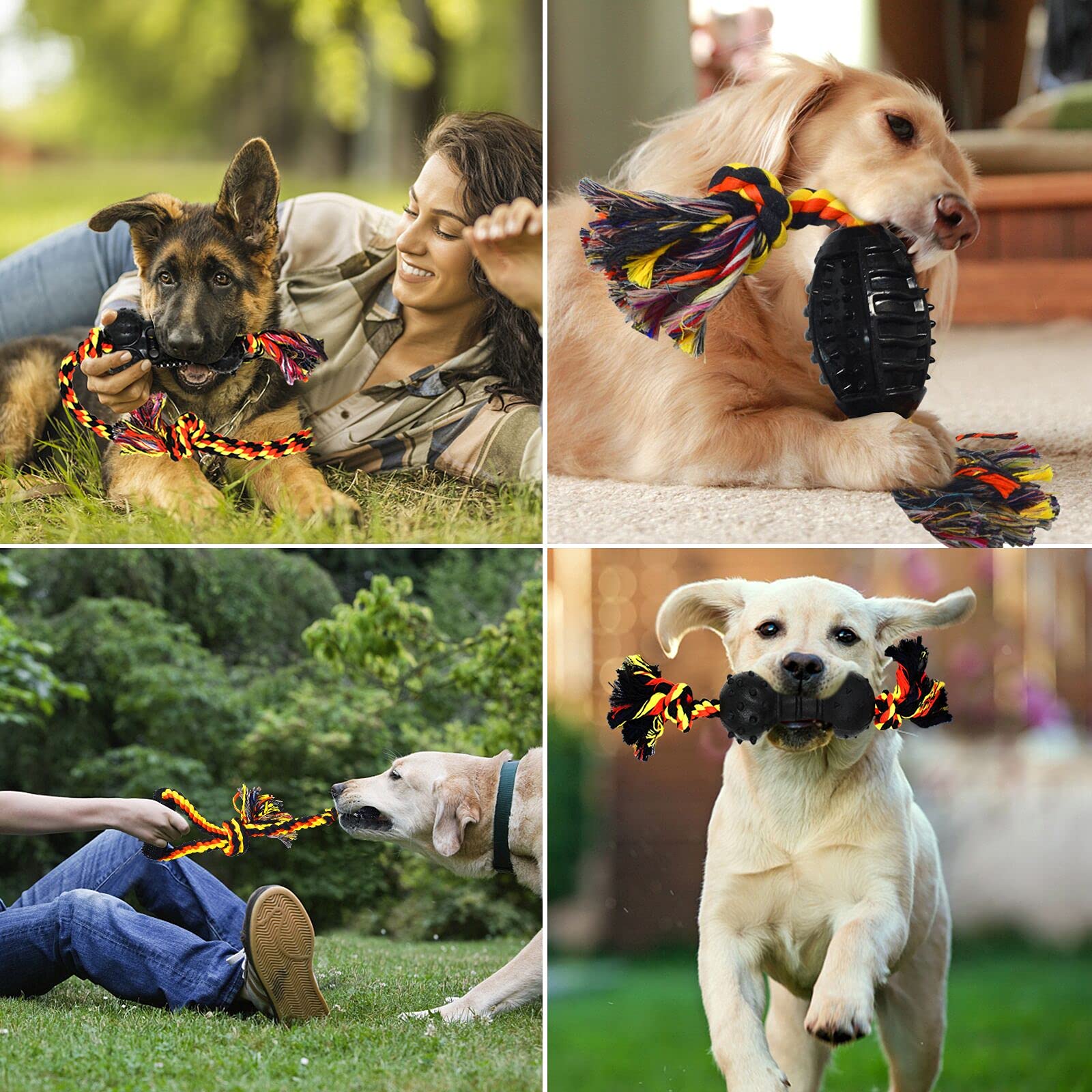 Juguete de entrenamiento de Yipetor para perros enfocados.