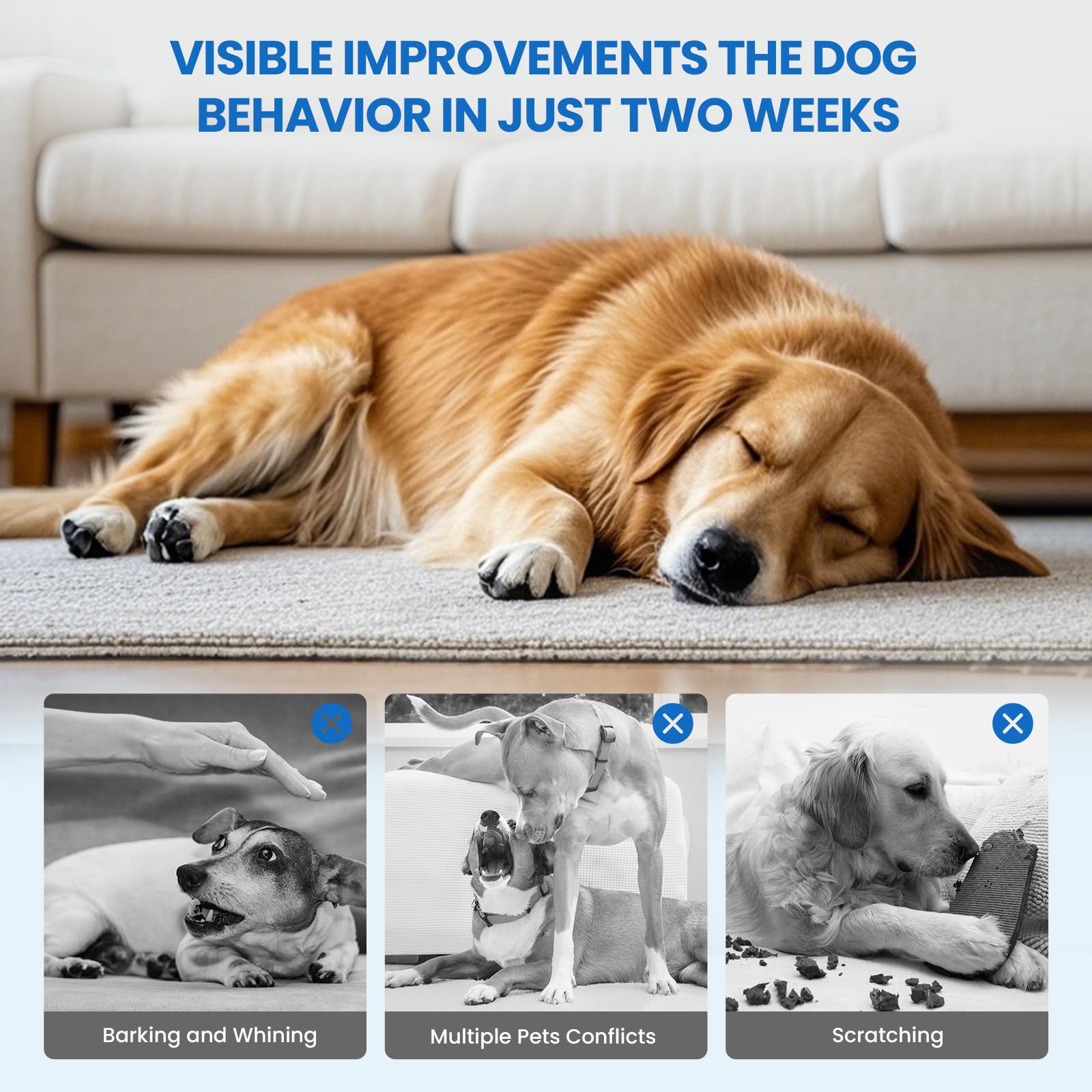 Difusor Yirr para perros, recargas de 30 días para conveniencia.