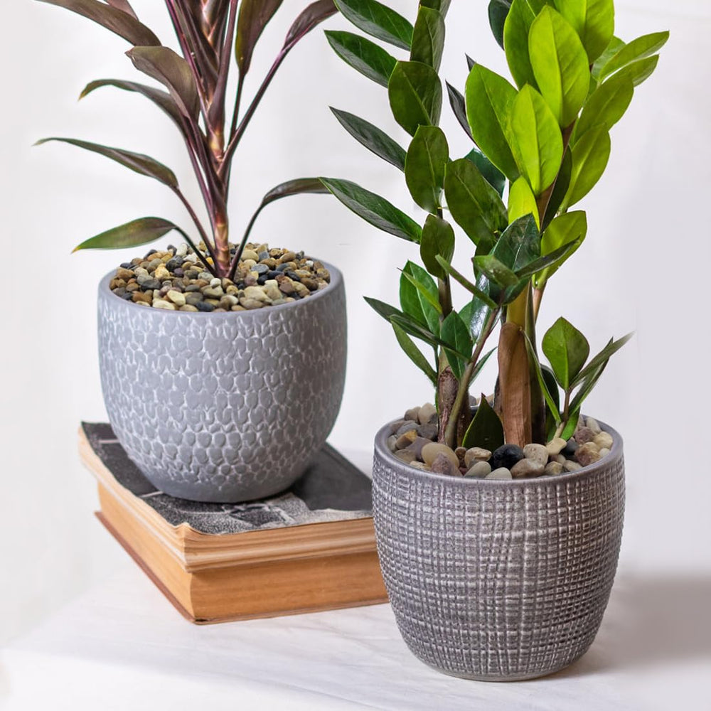 Piedras de drenaje para plantas YISZM, mejoran drenaje y evitan encharcamientos.