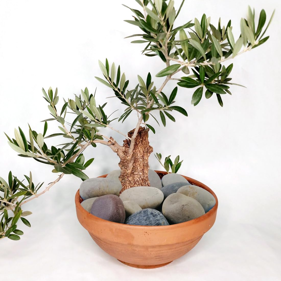 YISZM piedras de río para decoración en jarrones y artesanías.