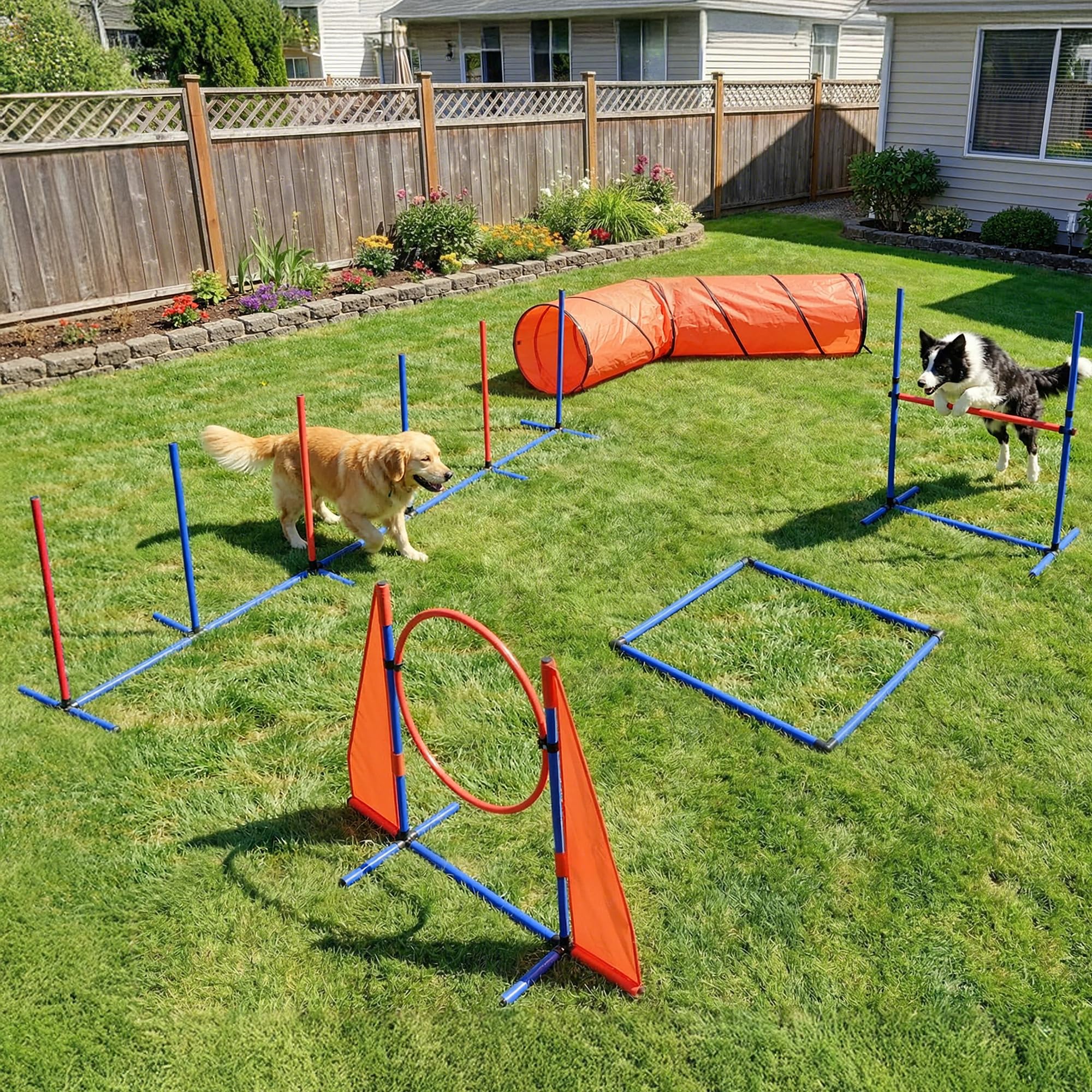 YITAHOME tunel de agilidad para perros, mejora la fluidez en el entrenamiento.