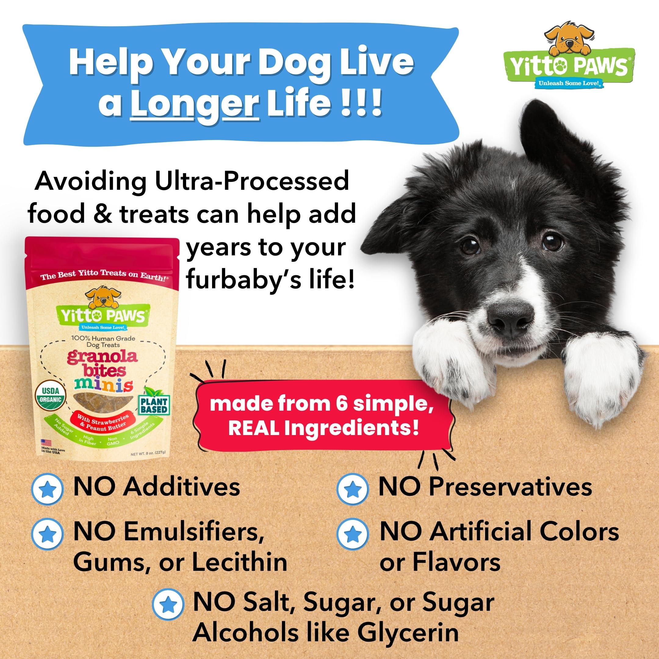 Yitto Paws Avena Orgánica Apoyo Cuerpo y Digestión