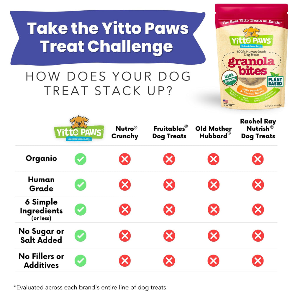 Perro con estómago sensible disfruta de Yitto Paws veganas.