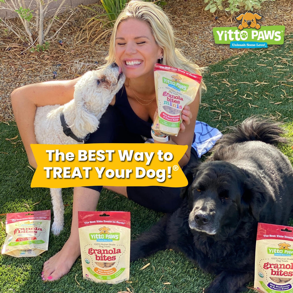 Golosinas hechas en Estados Unidos para perros pequeños, con ingredientes simples (Yitto Paws Mini).