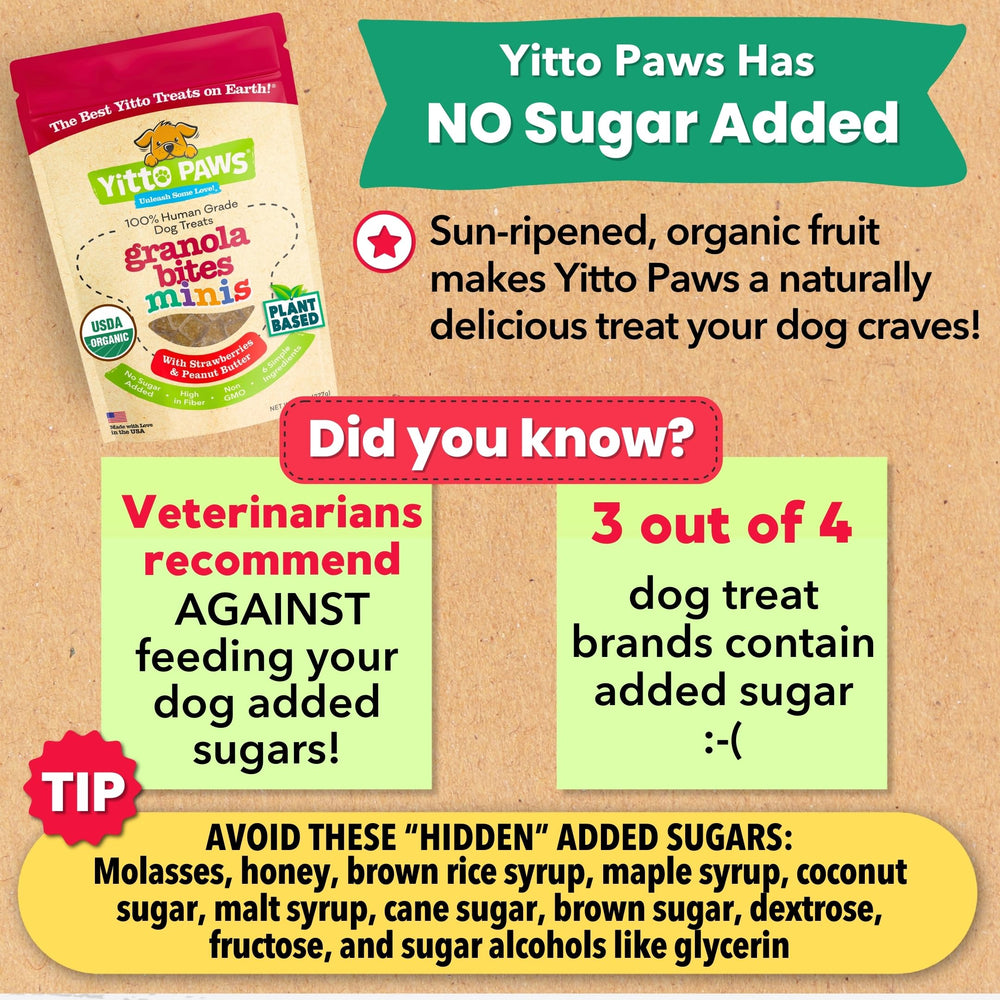 Envase de 8 oz de Yitto Paws Mini con ingredientes simples y limitados.