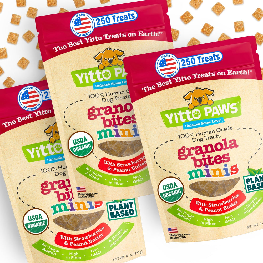 Golosina Yitto Paws Mini Premios Entrenamiento para Perro Crujiente sabor Fresa