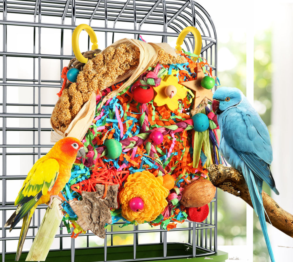 Hábitat enriquecido YIXUND para aves, promueve exploración diaria y diversión.