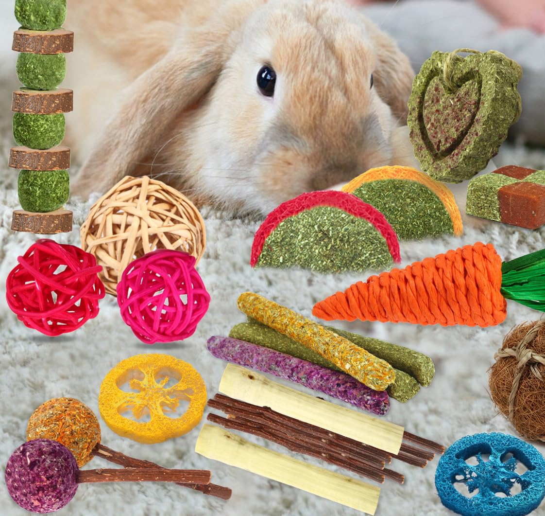 Esferas de pastos YIXUND, diseñadas para mantener entretenidos a conejos.