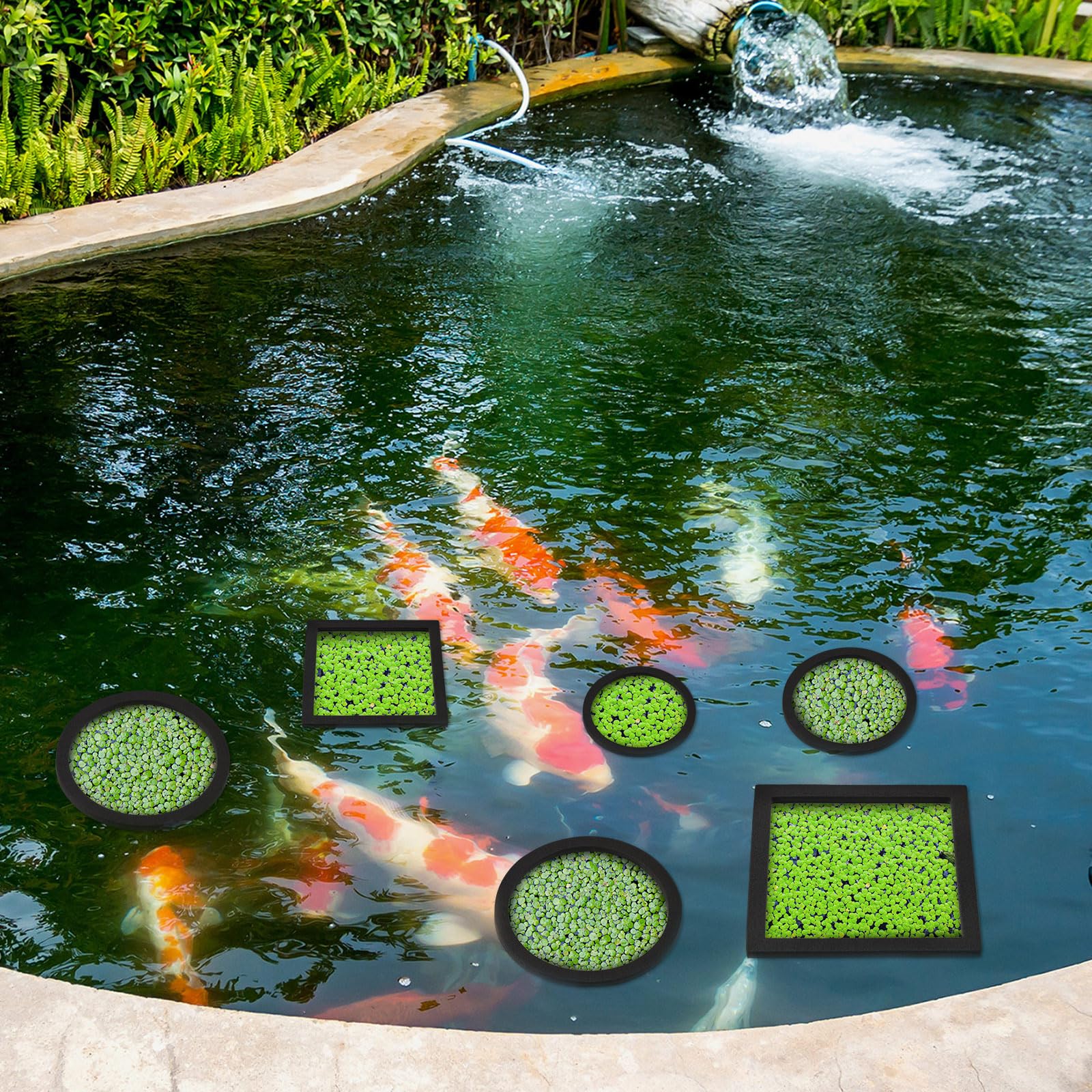 Yiyiring anillo flotante redondo de 8 cm para plantas pequeñas