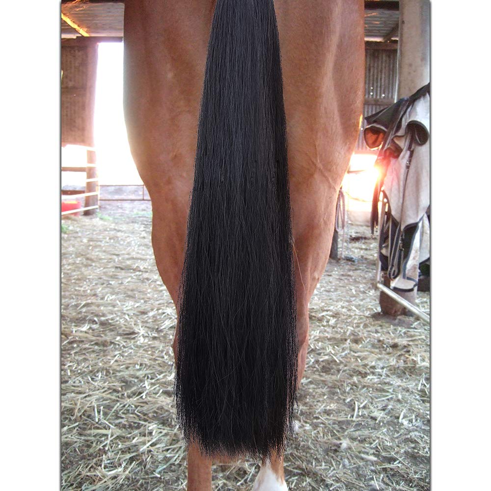 Cola de caballo negra intensa de Y.J TAILS para un look elegante.