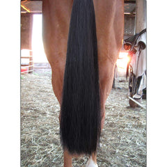 Cola de caballo negra intensa de Y.J TAILS para un look elegante.