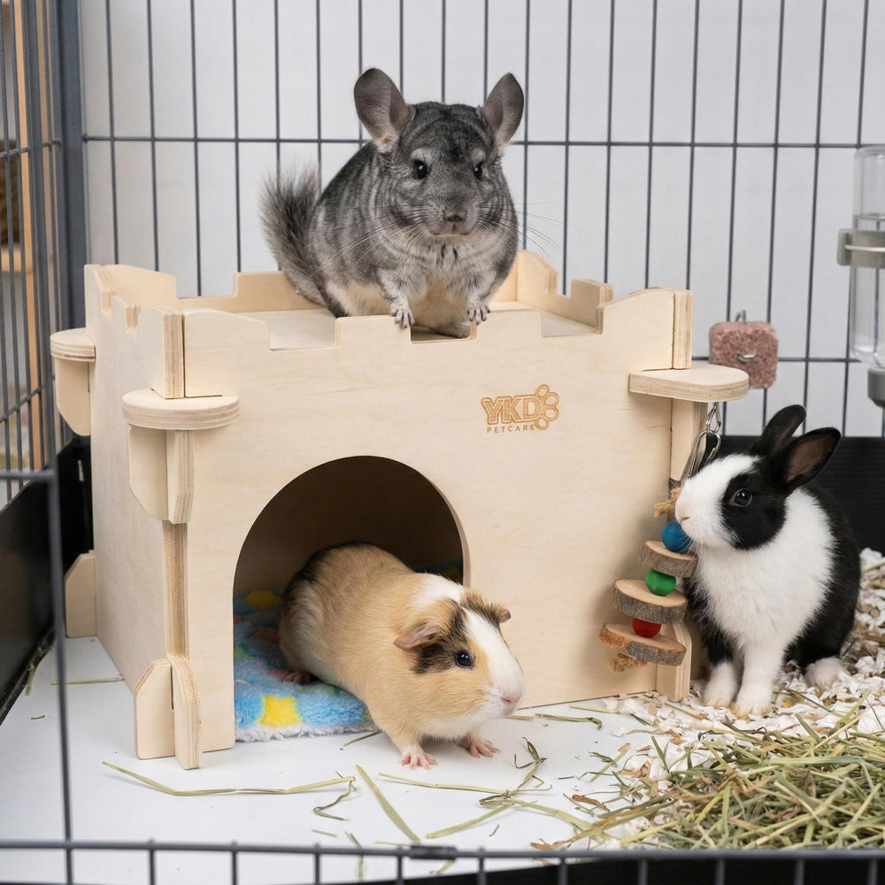 Interior de la casa YKD para chinchilla, espacio acogedor para dormir y esconderse