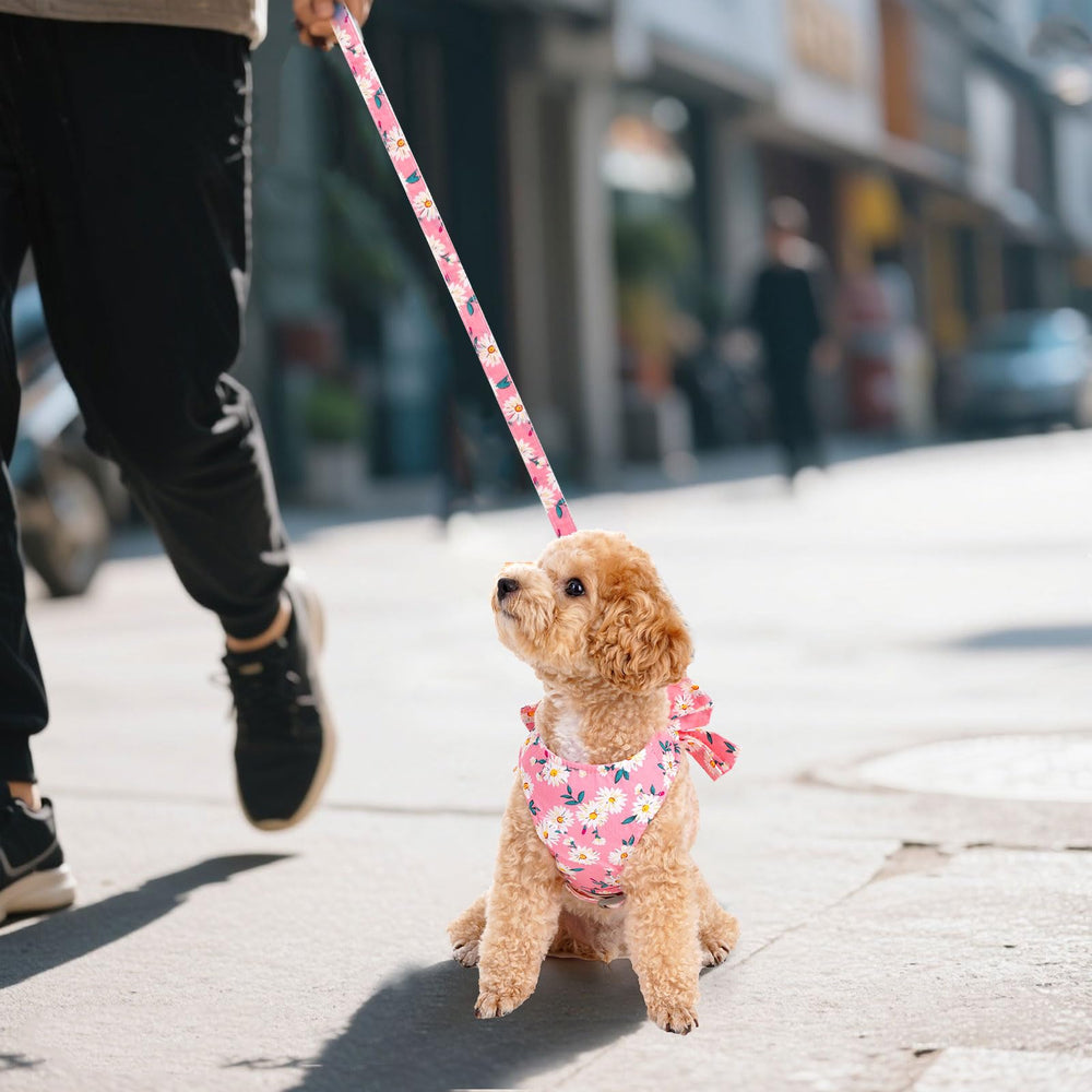 Arnés de malla transpirable YKYUASD para perro pequeño, comodidad ligera.
