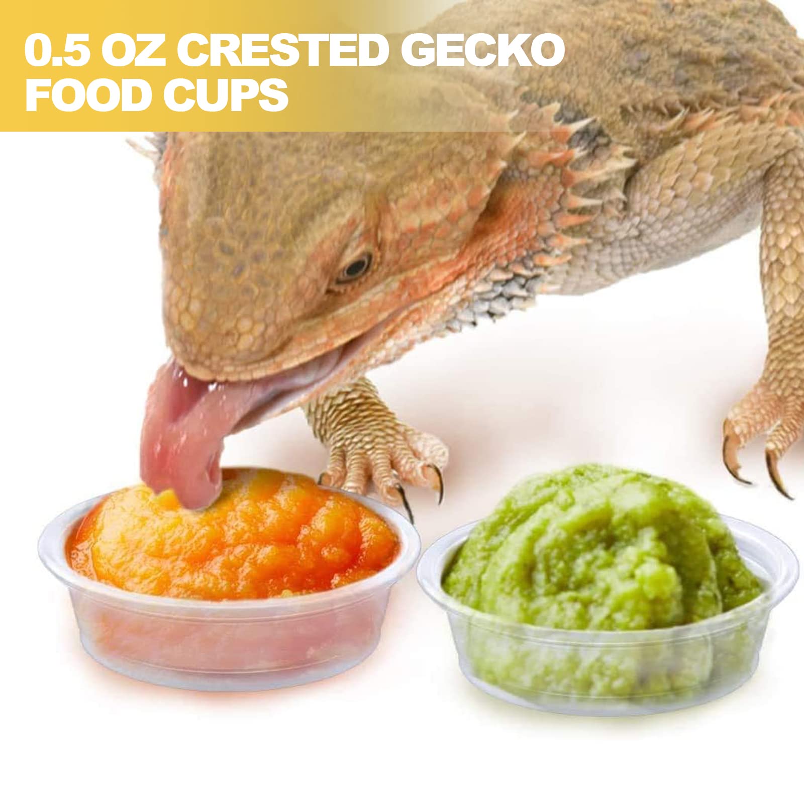 Conjunto de 100 copas YOJOR para reptiles, fácil de reponer y organizar.