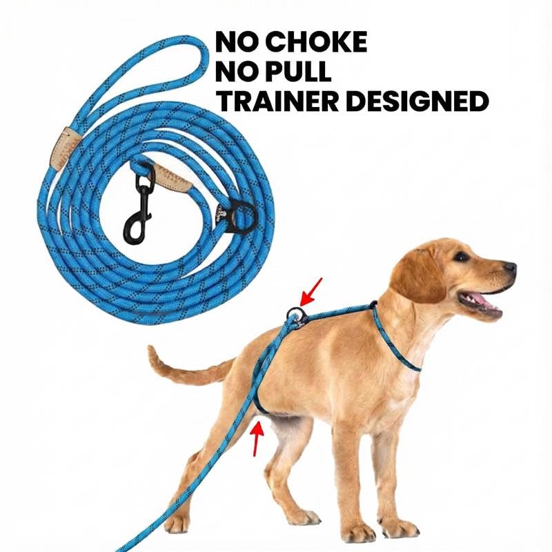 Yokum Gear correa para perro con diseño seguro que evita que el perro se suelte.