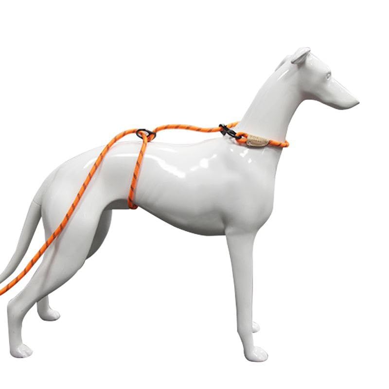 Yokum Gear correa de nylon resistente para paseos diarios.