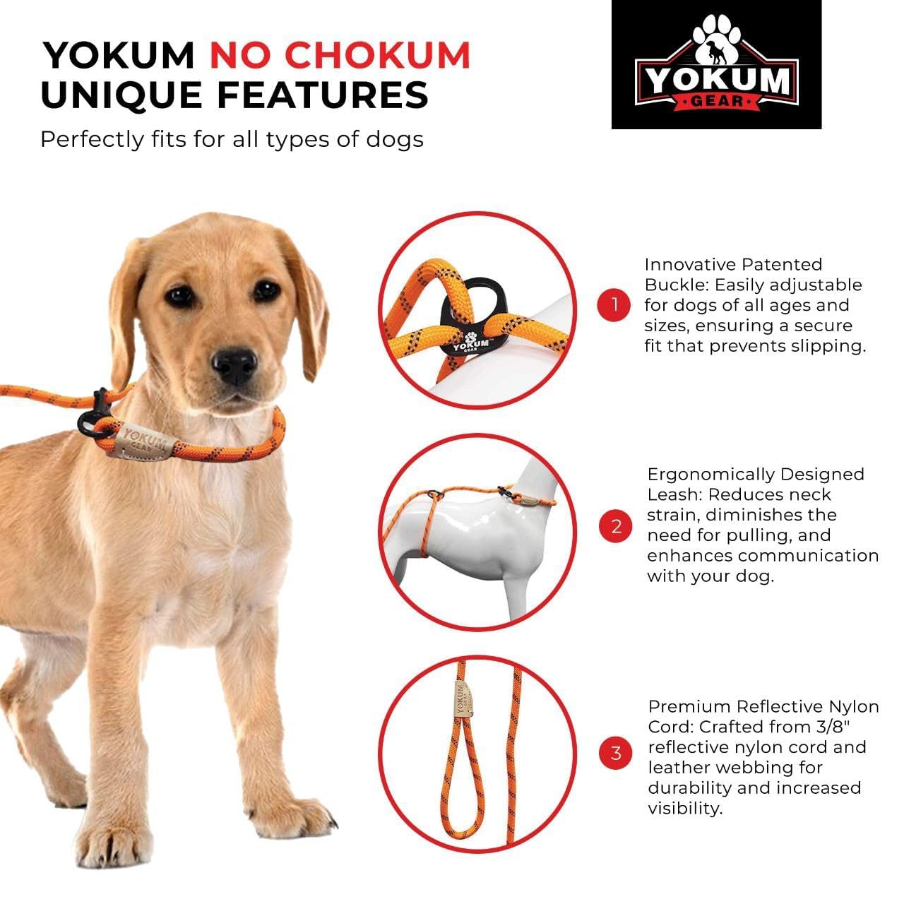 Yokum Gear correa segura para paseos en parques y playas.
