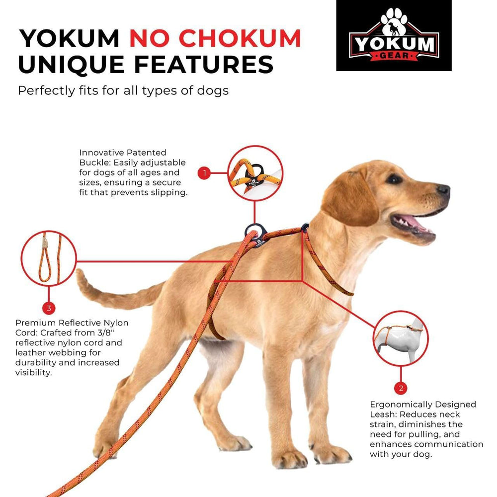Yokum Gear correa de usos múltiples para entrenamiento y paseo.
