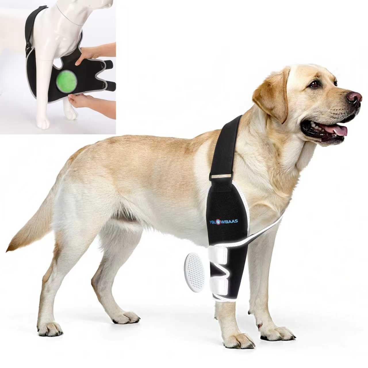Protector de codo para perro derecho Yolowbaas, vista frontal, soporte cómodo para movilidad suave.