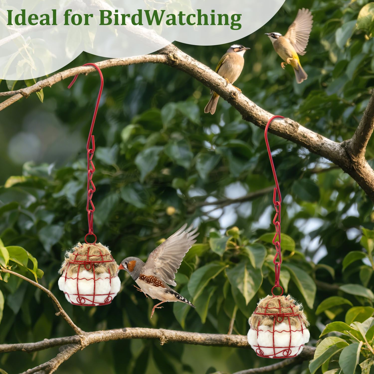 Regalo para amantes de las aves: nido de Yomishine en jaula roja.