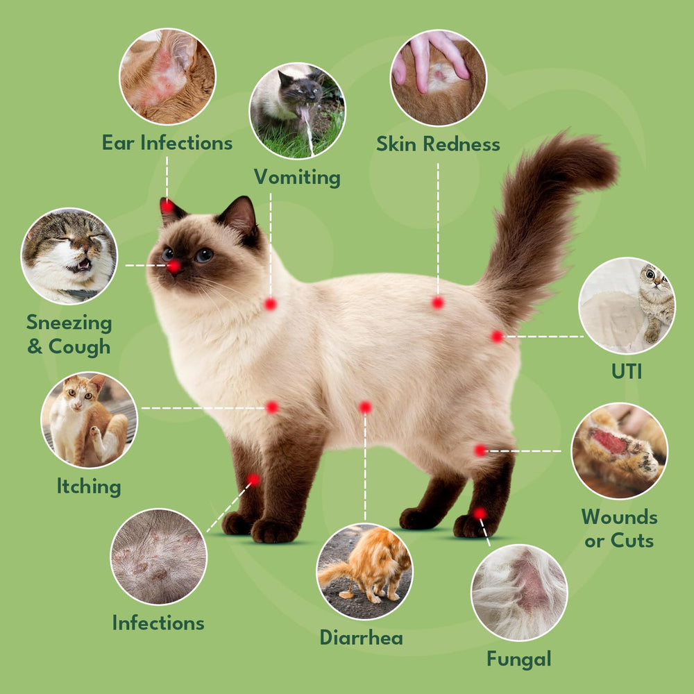 YOTANGO sabor pollo: suplemento líquido apetecible para gatitos y gatos exigentes.