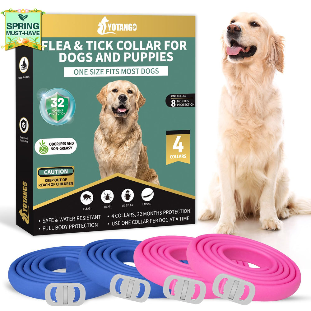Collar antipulgas YOTANGO para perros en azul, protección cómoda para paseos