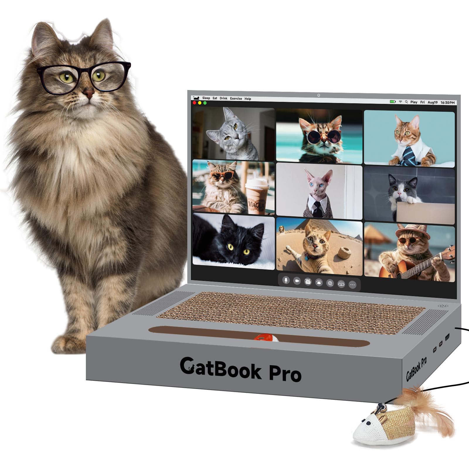 YOUXIFUN portatil-rascador-gato frontal: entretenimiento seguro para felinos.