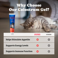 YoYoBay gel suave, fácil de aplicar para perros y gatos.