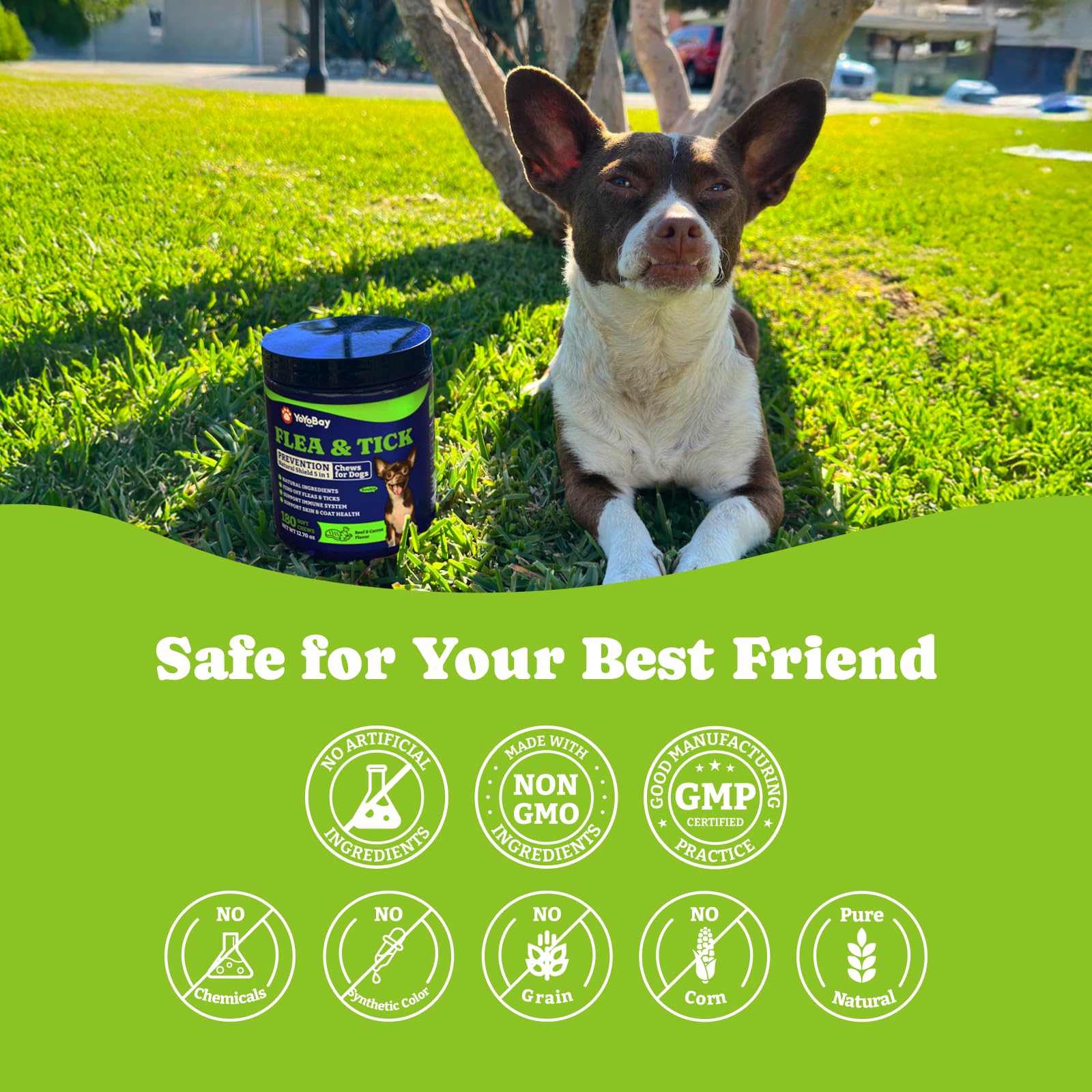 YoYoBay consumo-facil-para-perros: toma sencilla cada día.