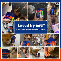YoYoBay masticables sabor salmón, textura atractiva para perros activos.