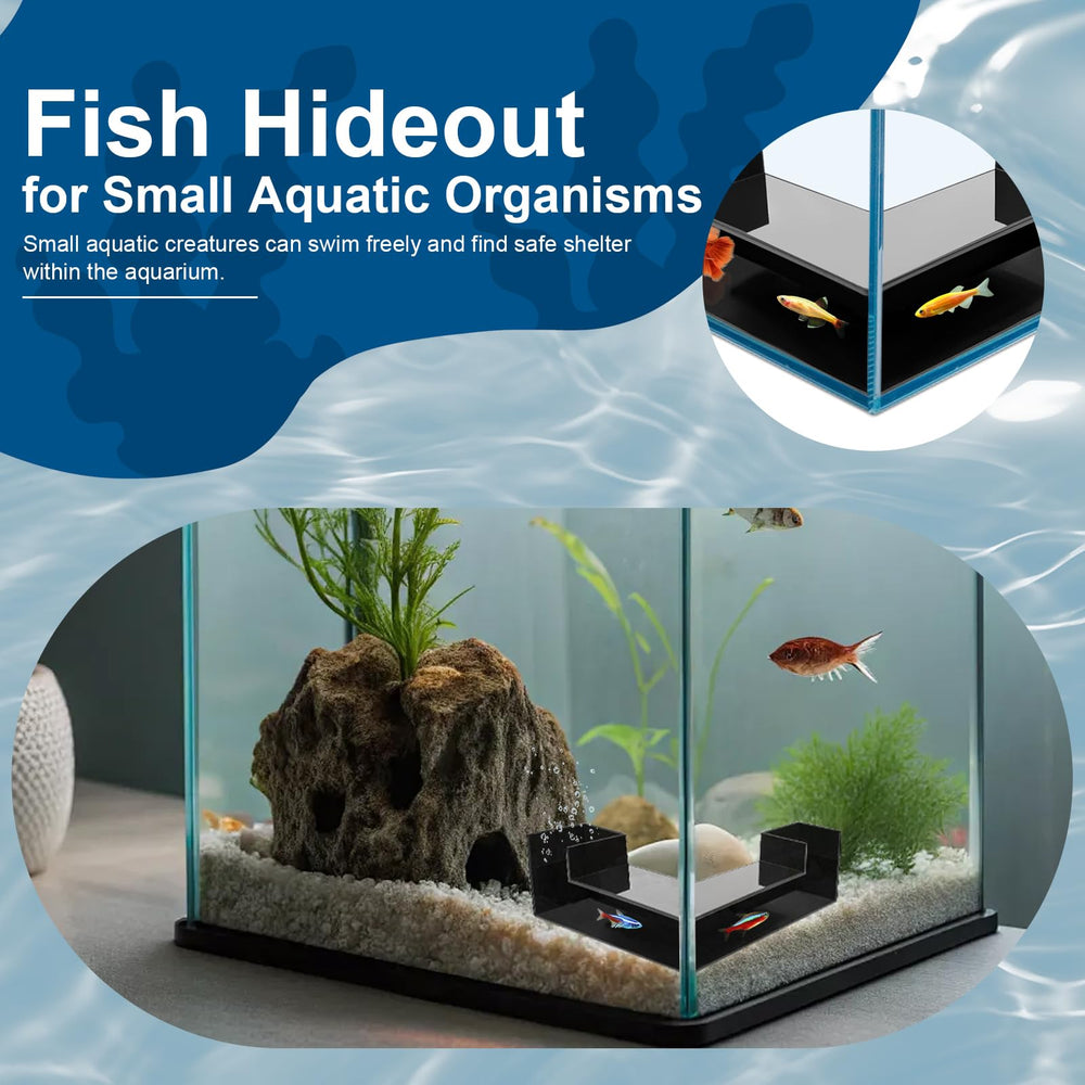 YQSLBULKY habitat multiespecie para betta y camarones promueve exploracion.