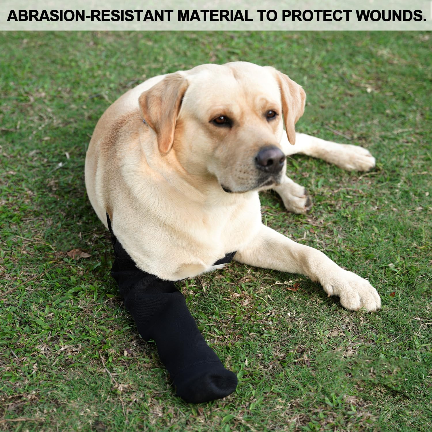 Producto patentado Yrenoer diseñado con veterinarios para comodidad y protección