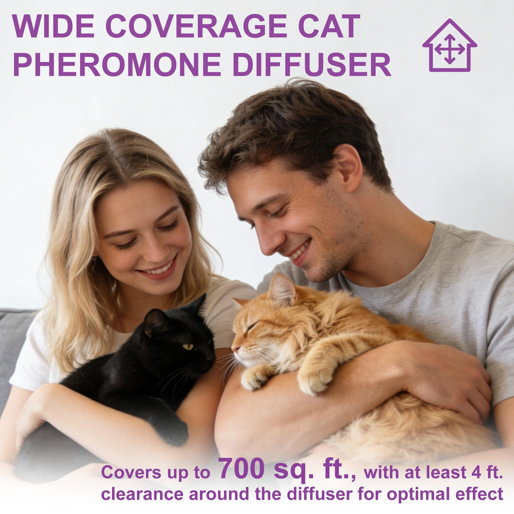 Difusor Ytcx.Tech sin olor para uso continuo en casa.
