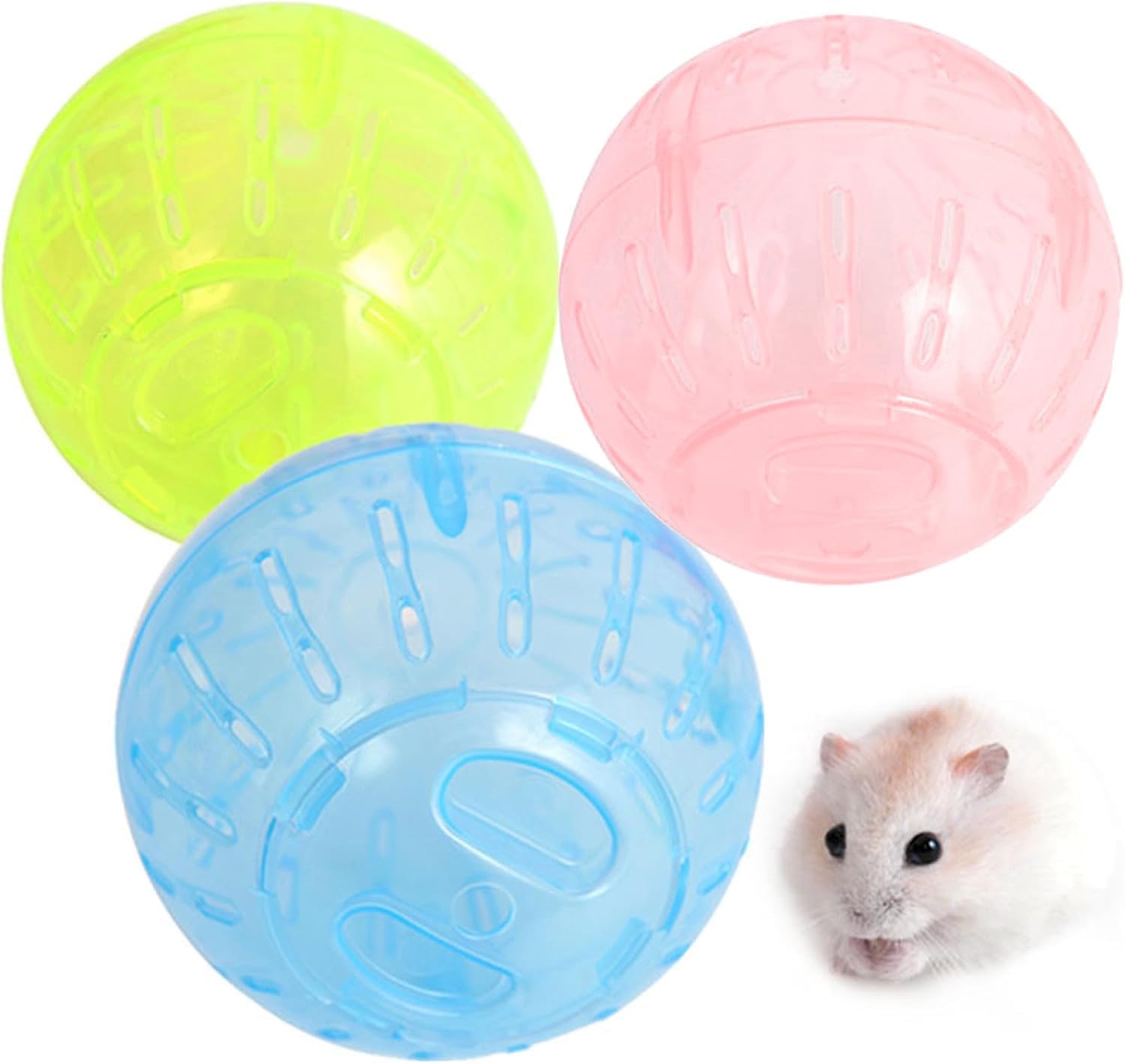 YuanHolumid ofrece opciones para mascotas pequeñas con esta bola de ejercicio
