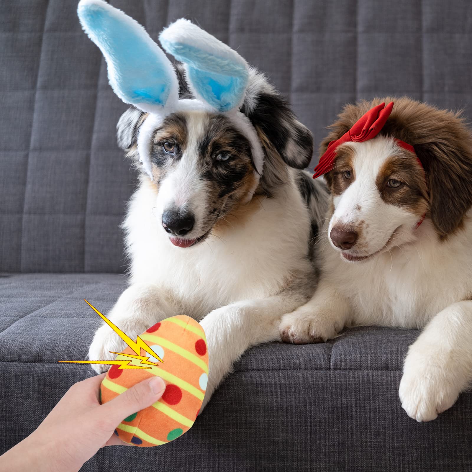 Regalo de Pascua para perros, ideal para razas pequeñas y medianas
