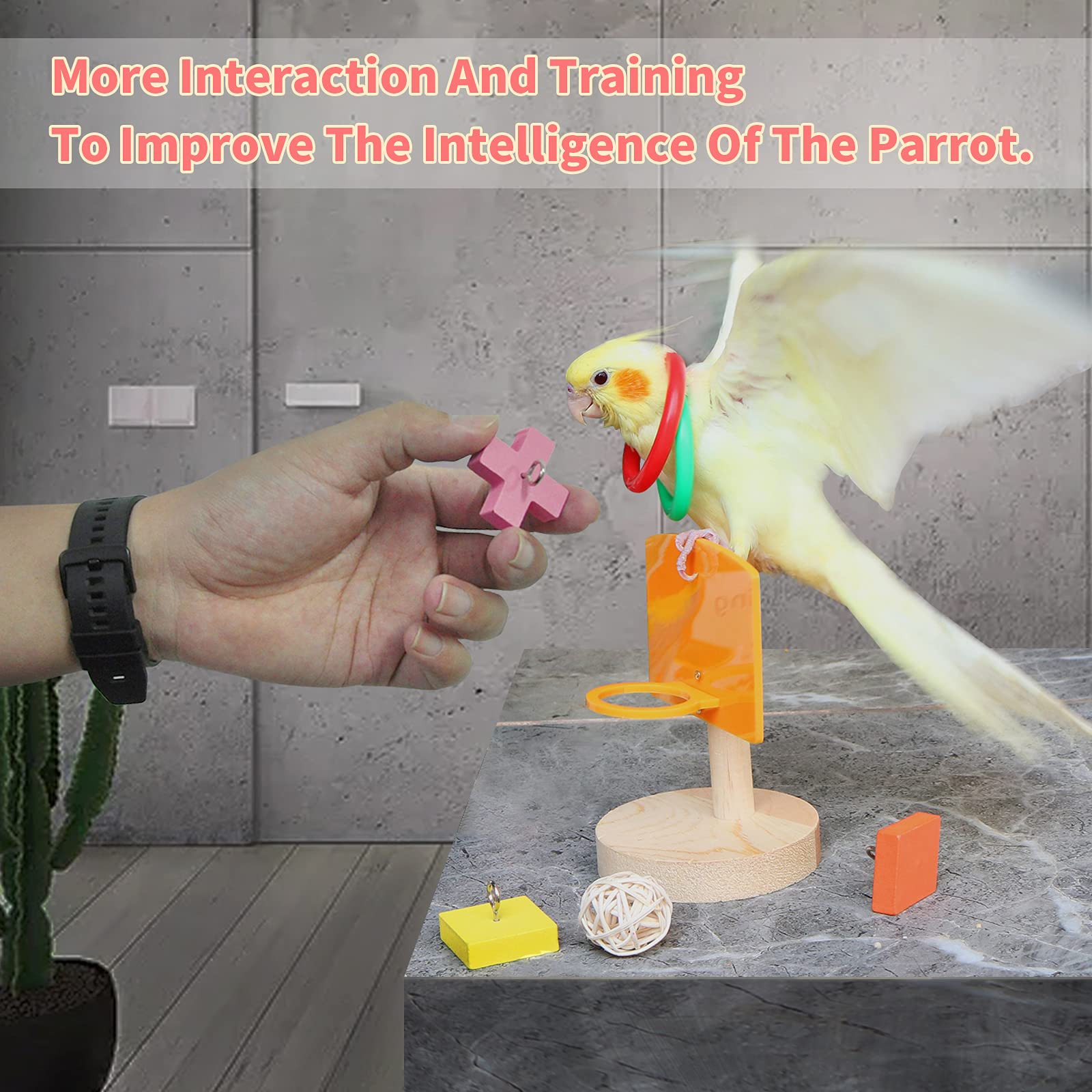 YUESUO sepak takraw para pájaros: estimulación física y mental.