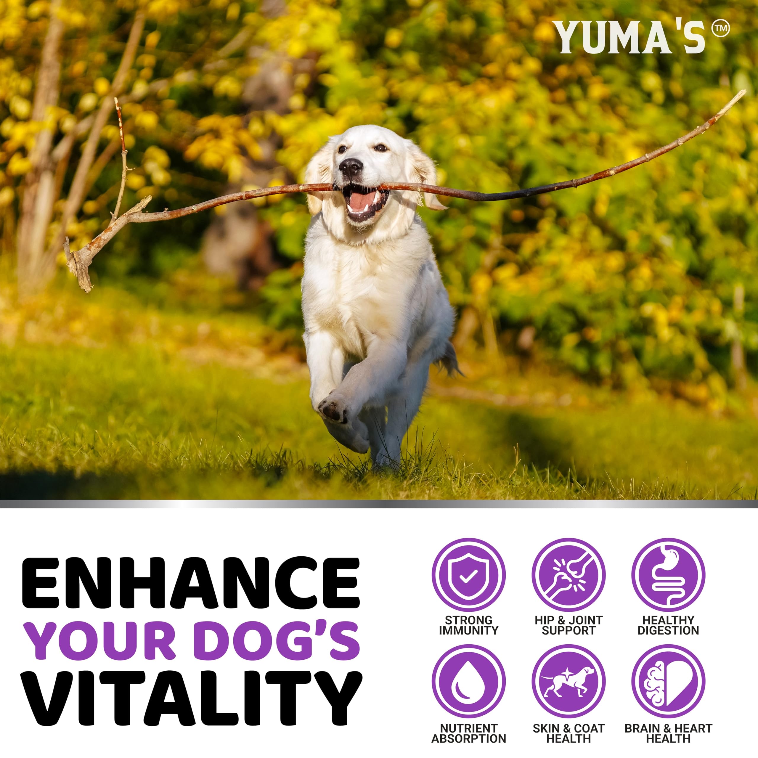YUMA'S omega-ácidos para perros: apoyo en piel, pelaje y bienestar general.