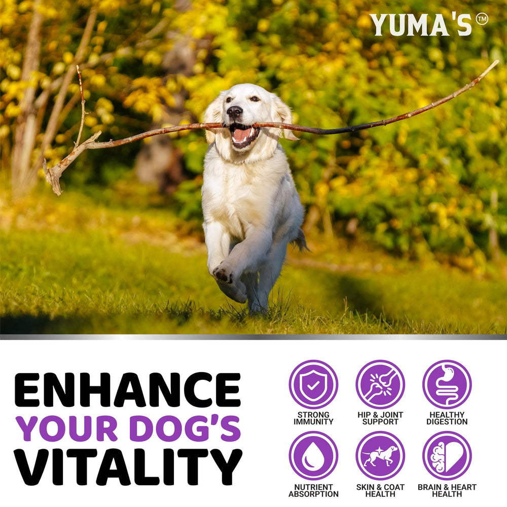 YUMA'S omega-ácidos para perros: apoyo en piel, pelaje y bienestar general.