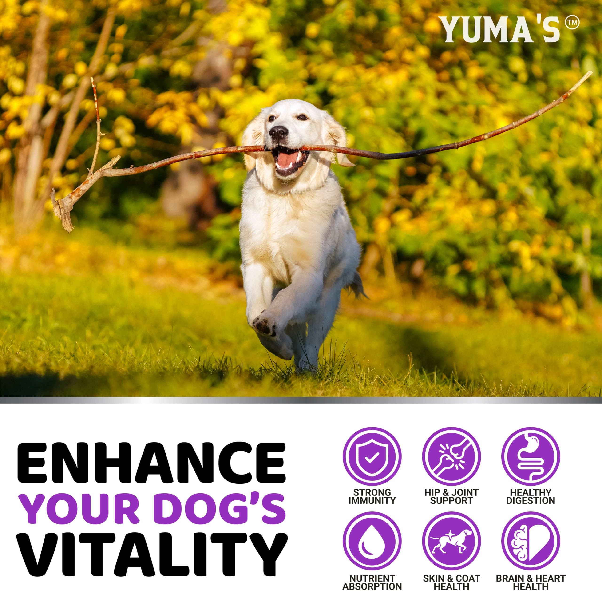 YUMA'S: cuidado de piel y pelaje, nutrientes esenciales.